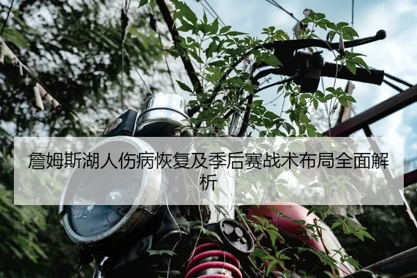 詹姆斯湖人伤病恢复及季后赛战术布局全面解析